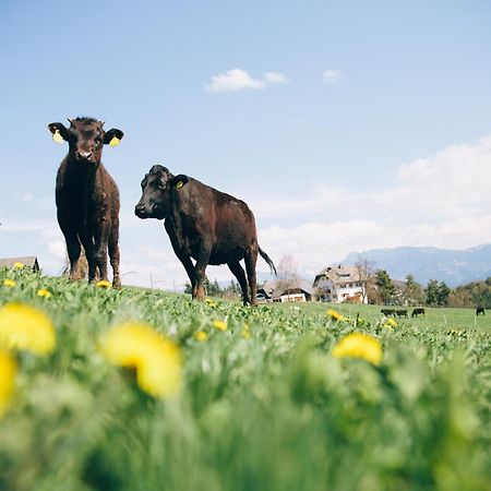 קוללבו Alpin Farm Linde - Oberweidacherhof מראה חיצוני תמונה