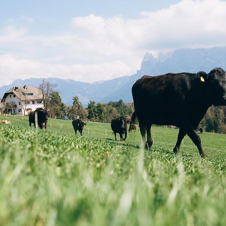 קוללבו Alpin Farm Linde - Oberweidacherhof מראה חיצוני תמונה